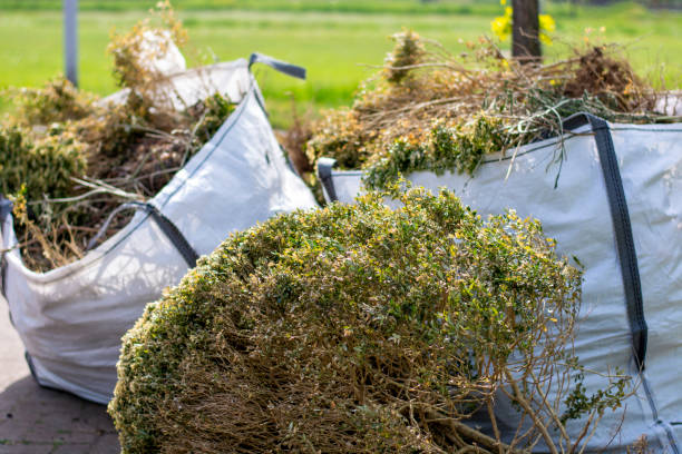 Best Residential Junk Removal  in Laguna Beach, CA